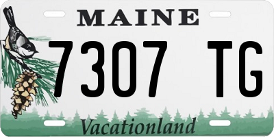 ME license plate 7307TG