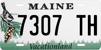 ME license plate 7307TH