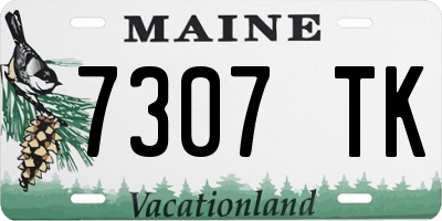 ME license plate 7307TK