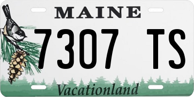 ME license plate 7307TS