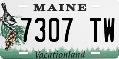 ME license plate 7307TW