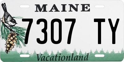 ME license plate 7307TY