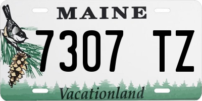 ME license plate 7307TZ