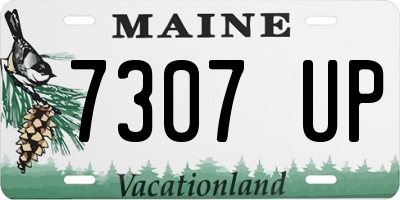 ME license plate 7307UP