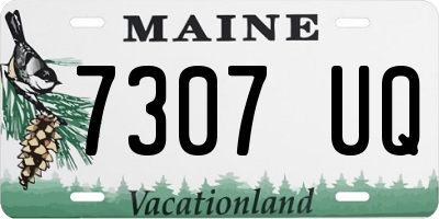 ME license plate 7307UQ