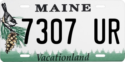 ME license plate 7307UR