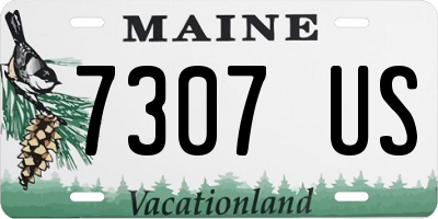ME license plate 7307US