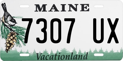 ME license plate 7307UX