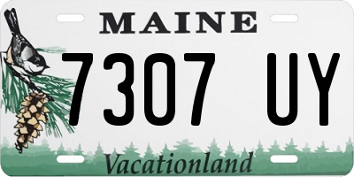 ME license plate 7307UY