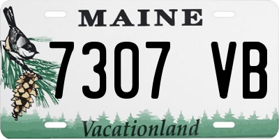 ME license plate 7307VB