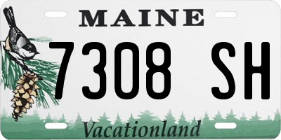 ME license plate 7308SH