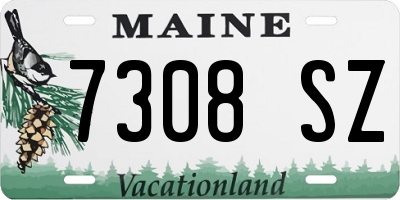 ME license plate 7308SZ