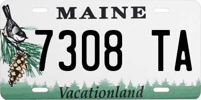 ME license plate 7308TA