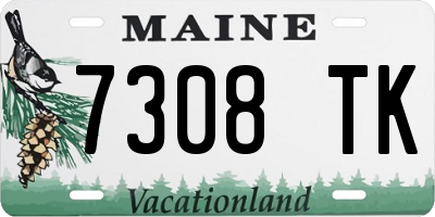 ME license plate 7308TK