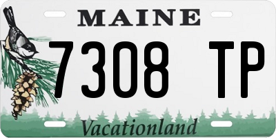 ME license plate 7308TP