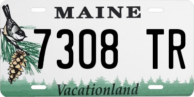 ME license plate 7308TR