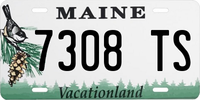 ME license plate 7308TS