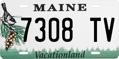 ME license plate 7308TV
