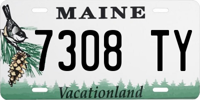 ME license plate 7308TY
