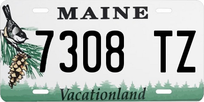 ME license plate 7308TZ