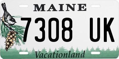 ME license plate 7308UK
