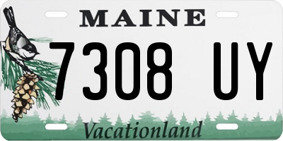 ME license plate 7308UY