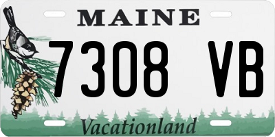 ME license plate 7308VB
