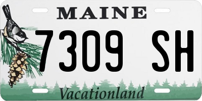 ME license plate 7309SH
