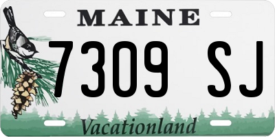 ME license plate 7309SJ