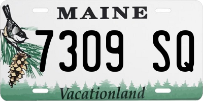 ME license plate 7309SQ