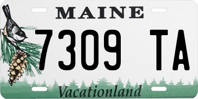ME license plate 7309TA