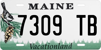 ME license plate 7309TB