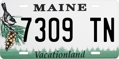 ME license plate 7309TN