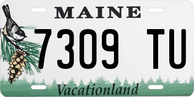 ME license plate 7309TU