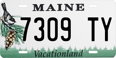 ME license plate 7309TY