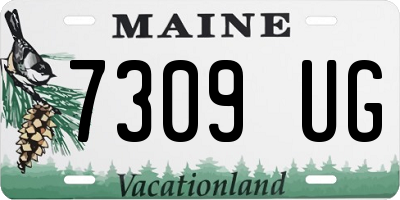 ME license plate 7309UG