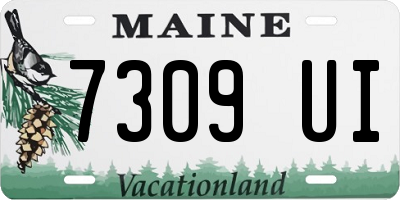 ME license plate 7309UI