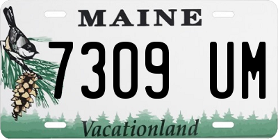 ME license plate 7309UM