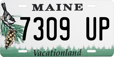ME license plate 7309UP
