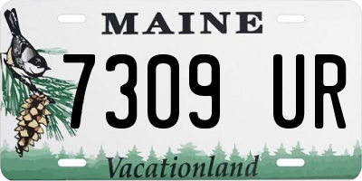 ME license plate 7309UR