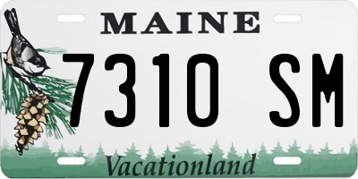 ME license plate 7310SM