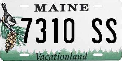 ME license plate 7310SS
