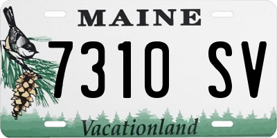 ME license plate 7310SV
