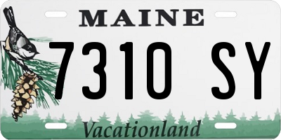 ME license plate 7310SY