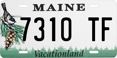 ME license plate 7310TF