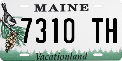 ME license plate 7310TH