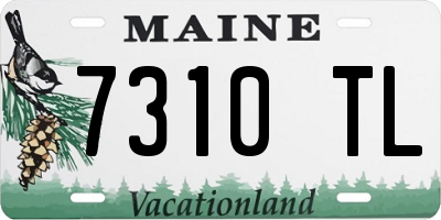 ME license plate 7310TL