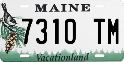 ME license plate 7310TM