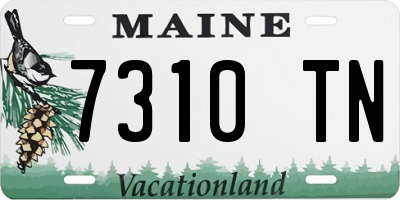 ME license plate 7310TN