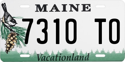 ME license plate 7310TO